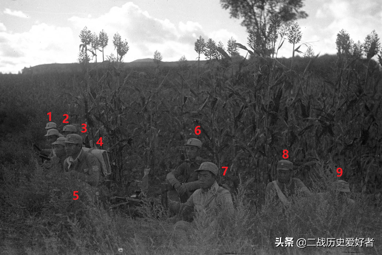 实拍躲在高粱地打伏击的八路军，跟我们在电视