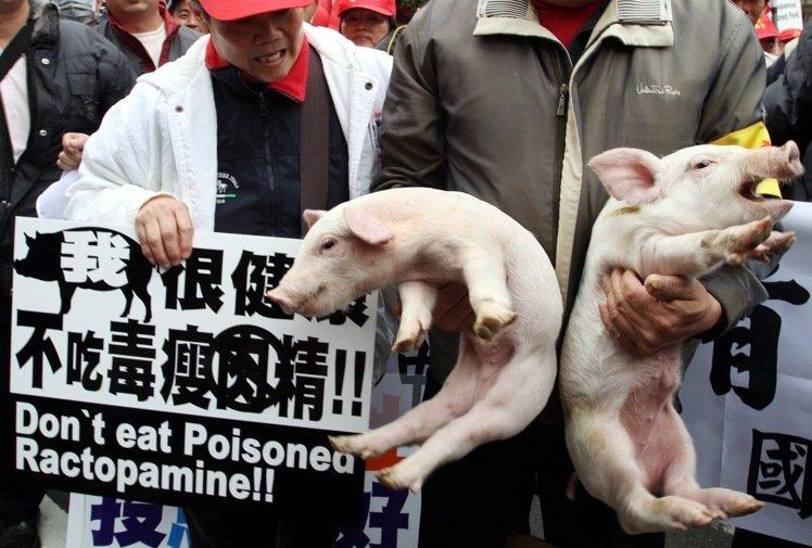 2020年台灣民眾對民進黨哪項政績�最有感�？ 萊豬過關排首位