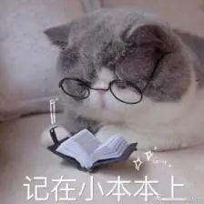毛孔大到能种树，别慌！皮肤科医生教你如何收缩毛孔