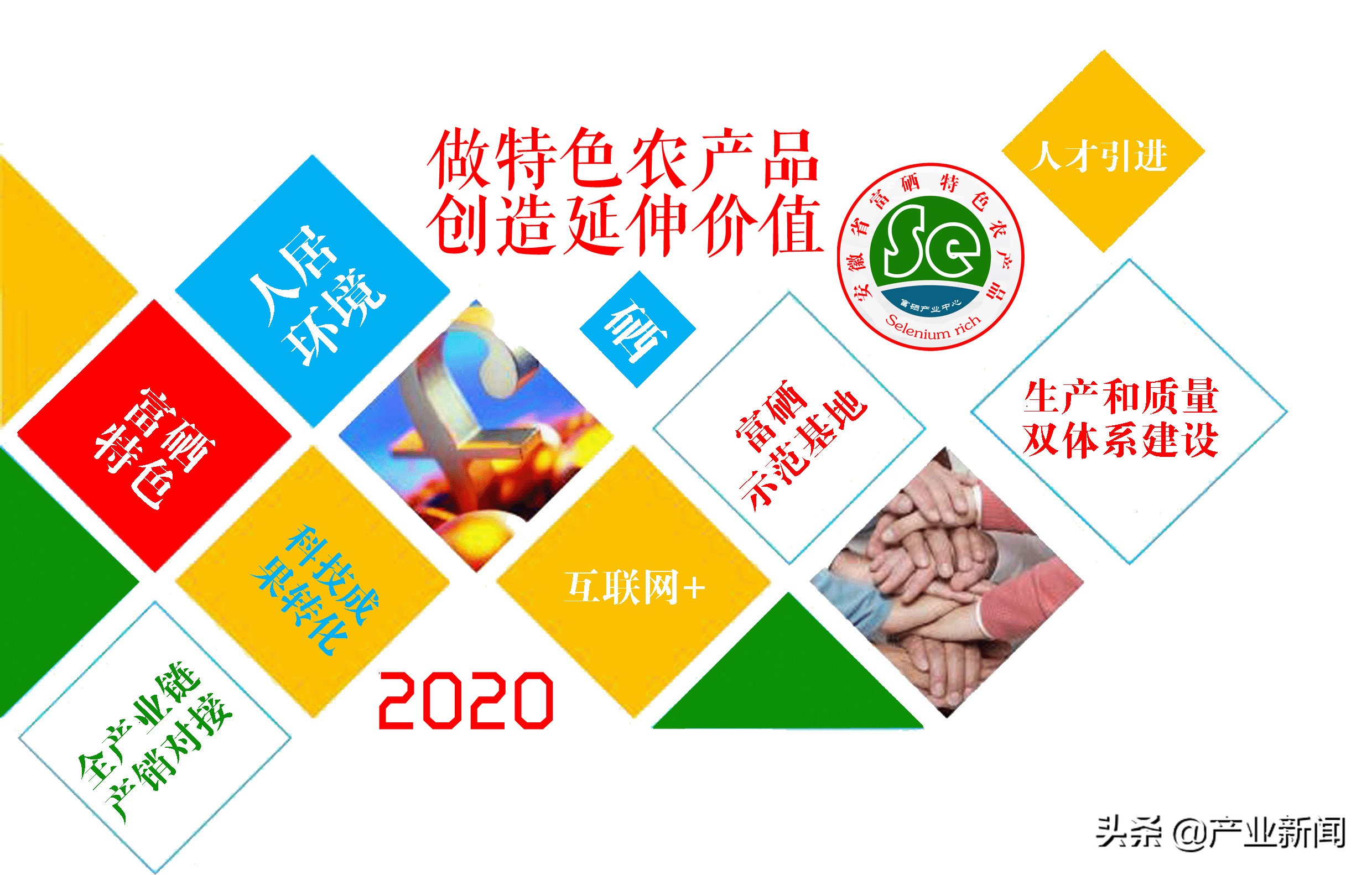 （安徽省）富硒稻米发展可行性报告——种植特