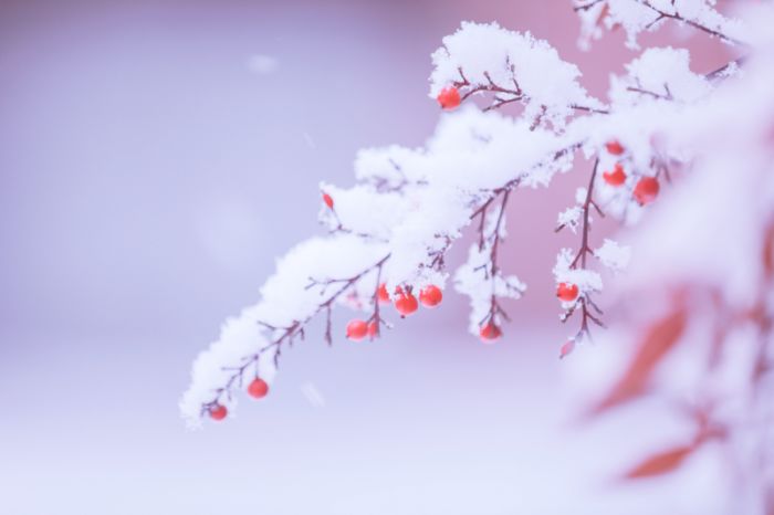 12月，你好，8首诗词写尽冬天之美，岁月因诗而暖-第4张图片-非凡网