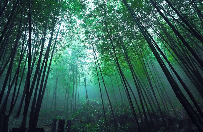 这才是夏季值得去的八大避暑天堂，人少景美，还自带空调模式