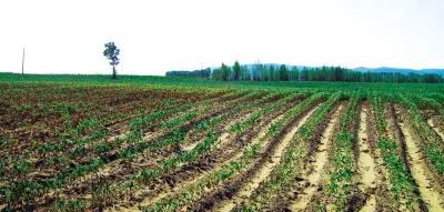 20年，富顺变化翻天覆地