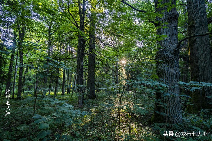 「波兰」波兰自驾，探寻边境地区的三处跨国世界遗产