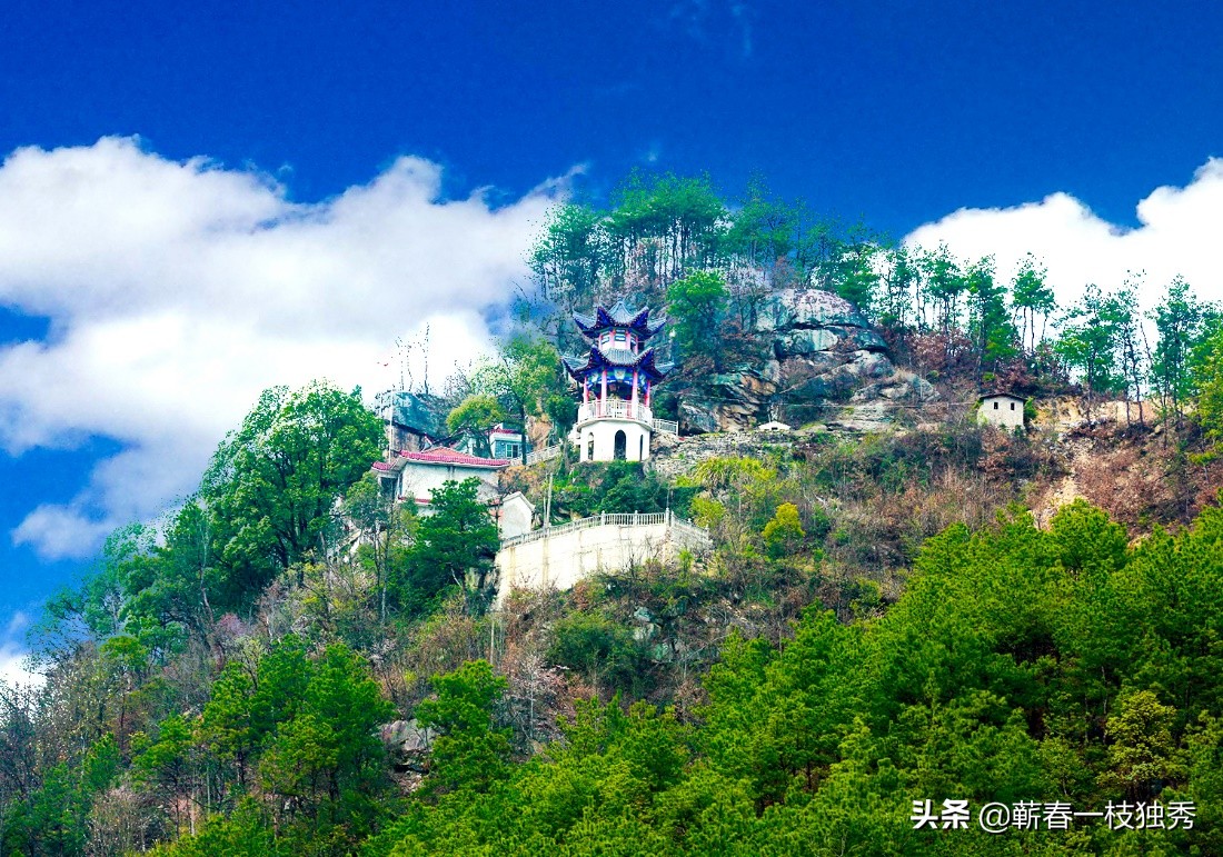 实体店越来越少，直播带货将又一次兴起