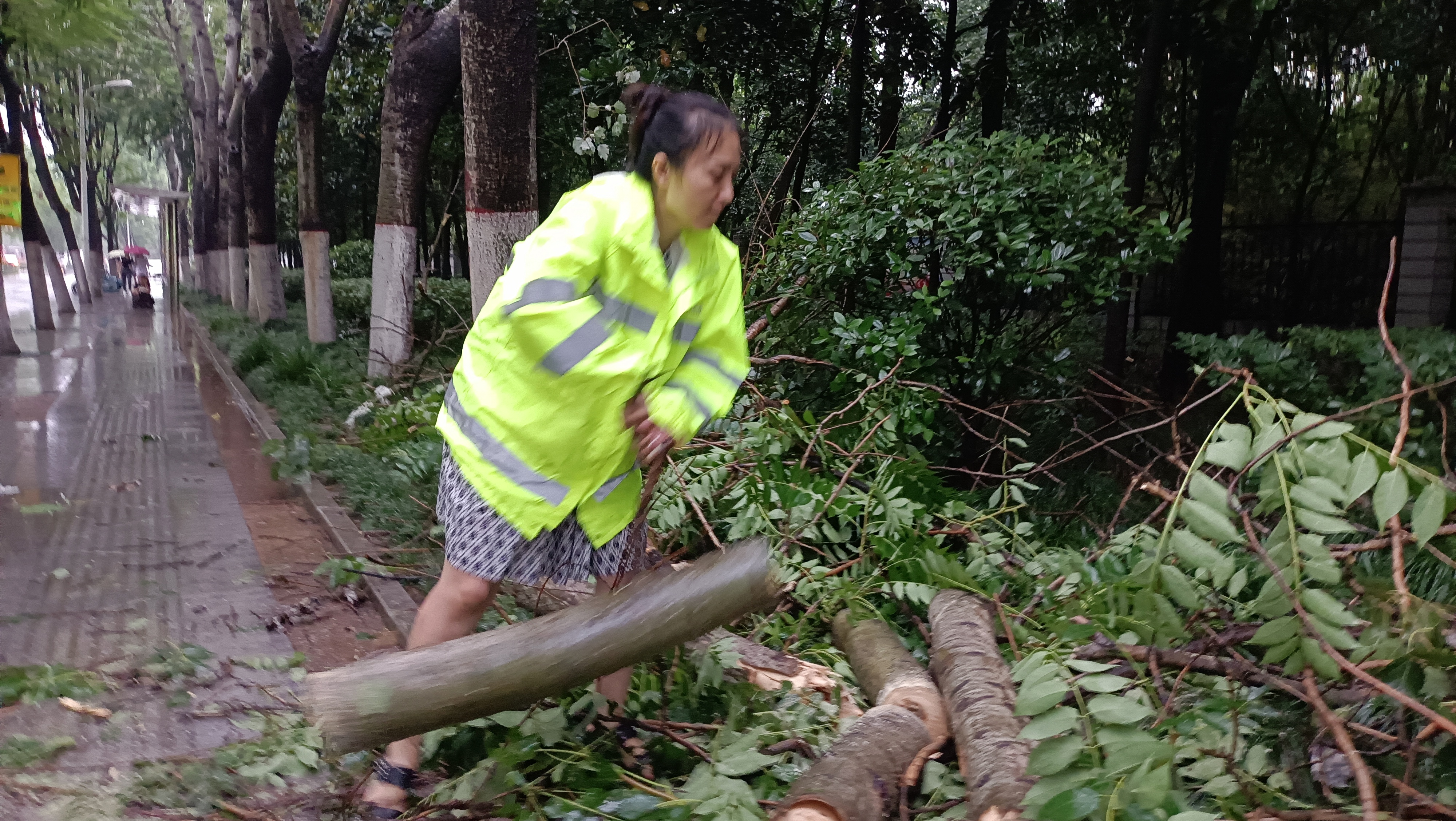 暴雨中园林抢险“女汉子”：“我是党员，绝不退缩！”