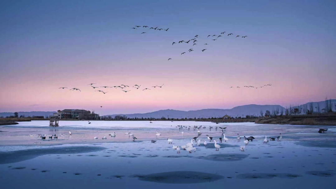 Snow fell, such scene that pat snow that but too beautiful