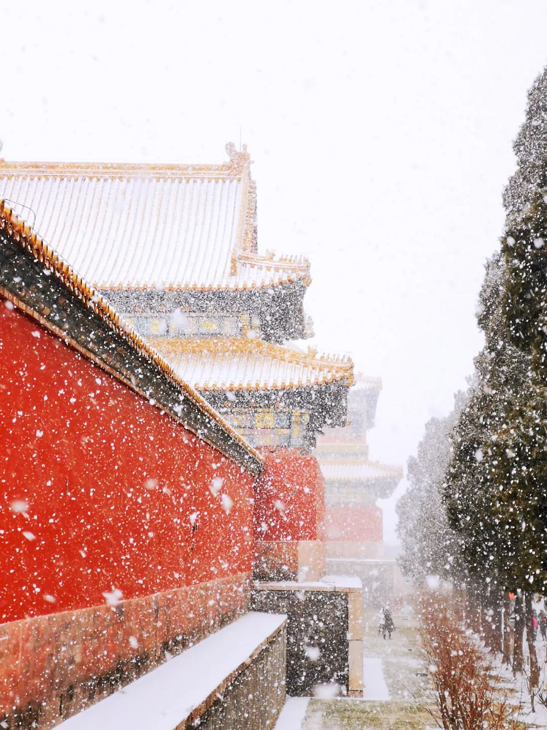 下雪了！最适合下雪天发朋友圈的诗句，唯美又浪漫！（赶紧收藏）