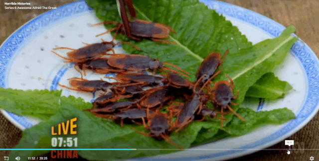 澳洲儿童节目公然辱华！节目中称虫子、蟑螂、竹鼠是中国日常饮食