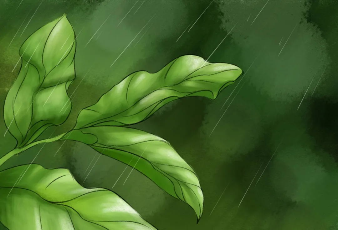雨,一生的悲欢离合-第1张图片-非凡网 雨,一生的悲欢离合-第1张图片-非凡网