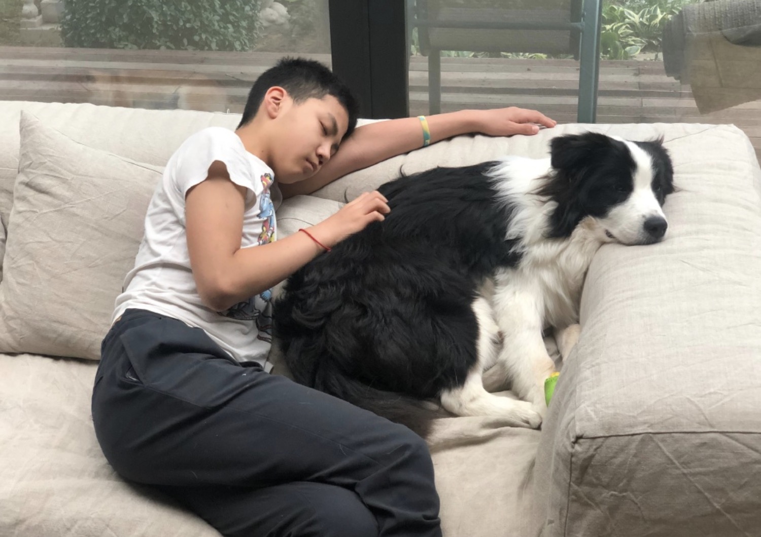 胡軍兒子康康12歲生日，身高赶超媽媽氣質像爸爸，學習成績優異