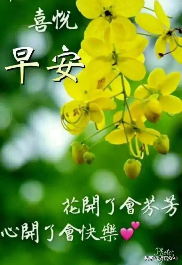 非常漂亮微信群早安问候图片，经典温馨的早安问候短语图片