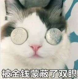 比特币行情巨震！有人5分钟赚了3千，一个失误又亏了13万！