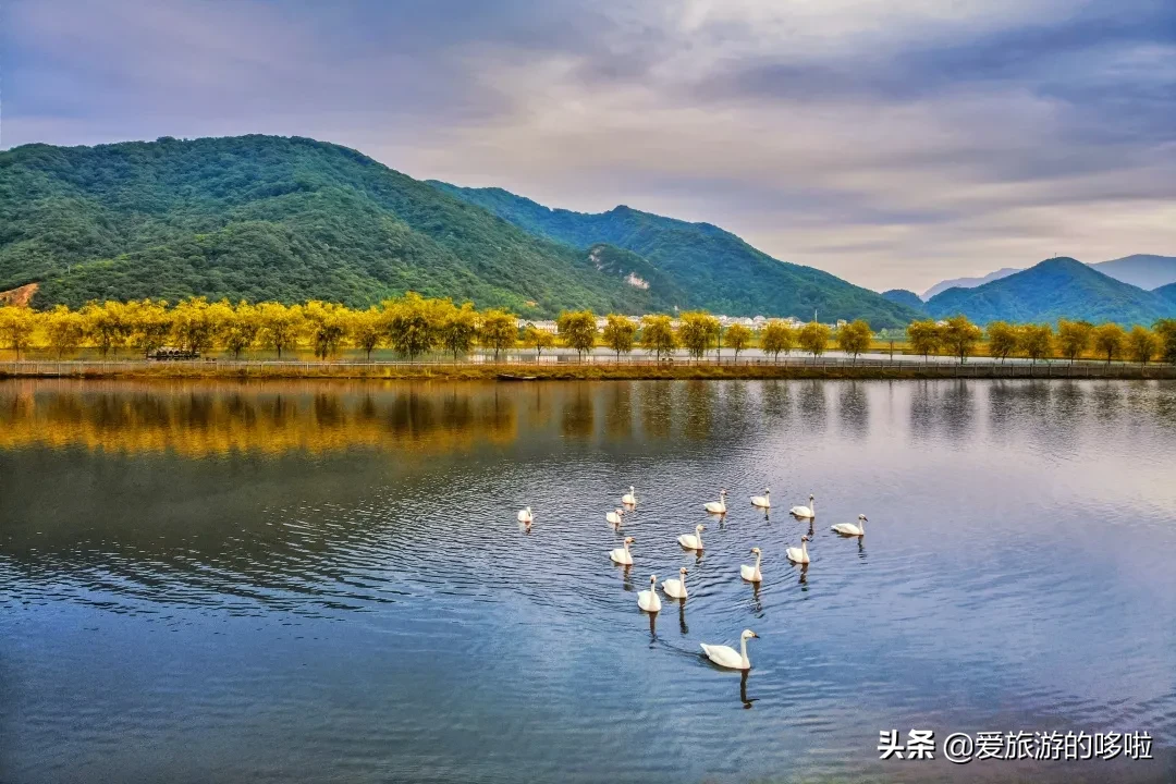 The best place to travel in October-November, the late autumn tour bus is about to depart