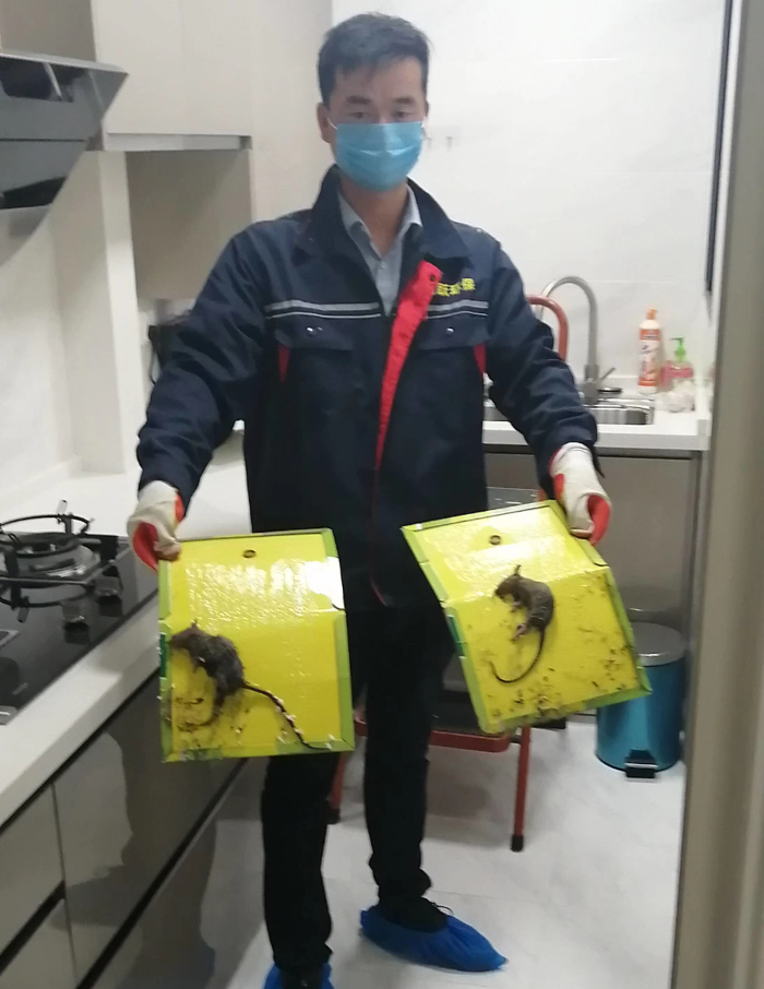 貓一樣的男人，提供24小時上門服務(wù)