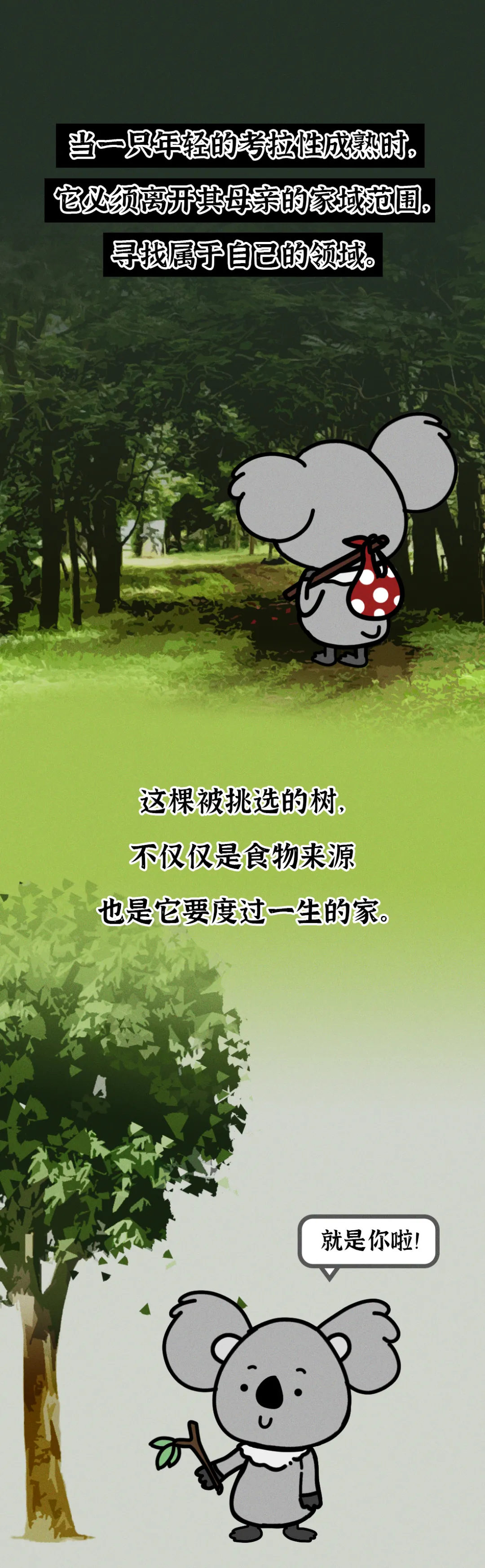 吃屎長大，一生嗑“毒”，這么萌的動物卻這么慘？