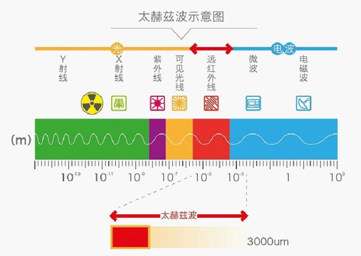 6G争夺战正式打响，美、日两国共同出资研发，华为还有多少优势？