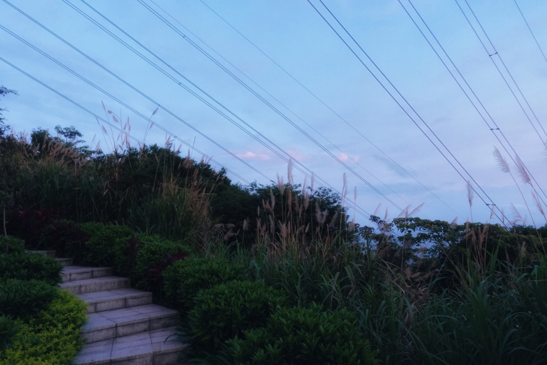 冬天看海的执念，就让温暖的深圳帮忙实现