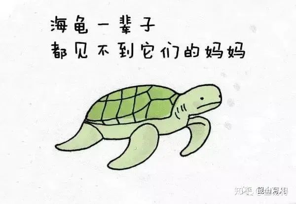 30個(ge) 有趣的科普小星空体育官网入口网站，你知道幾個(ge) ?