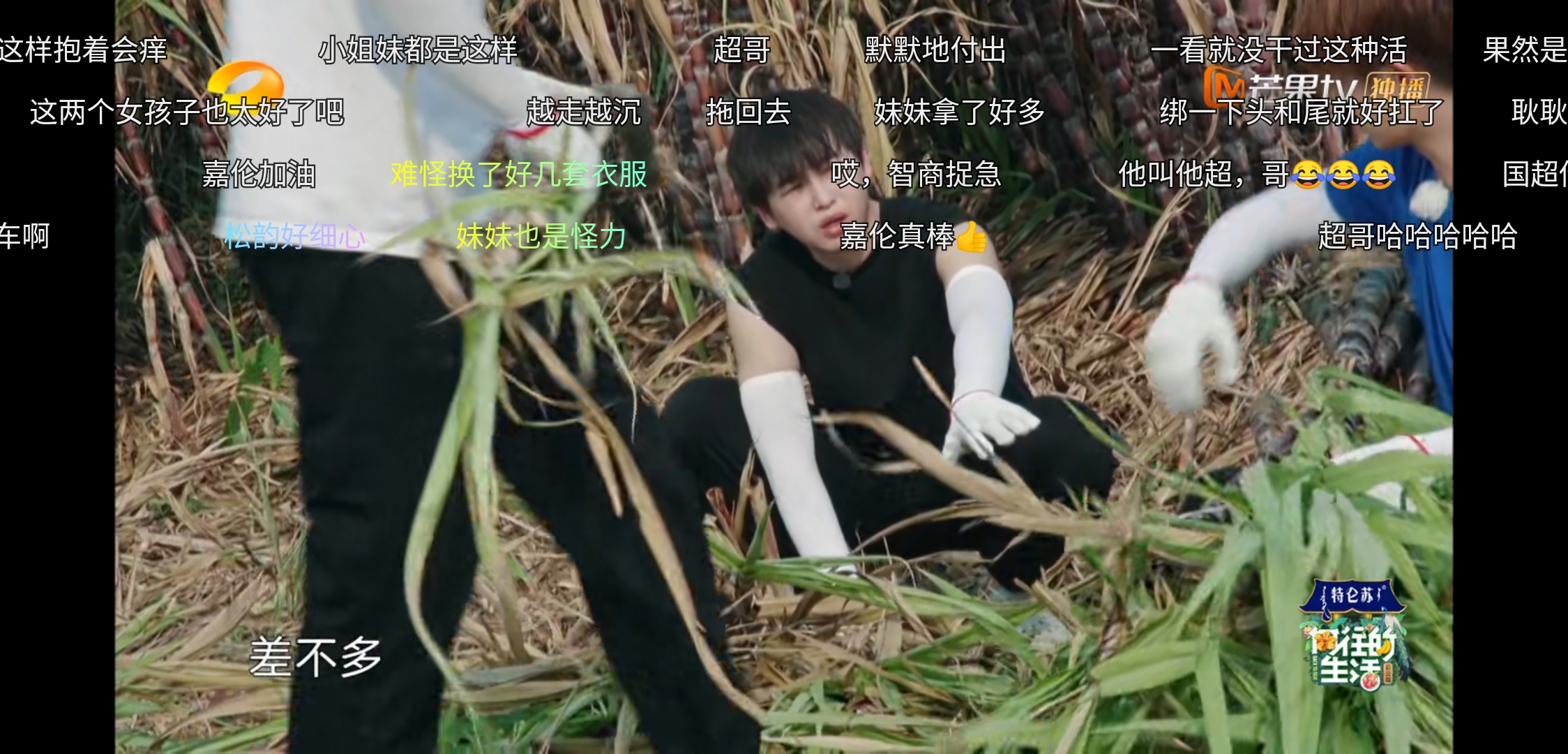 任嘉伦对谭松韵就是不一样，《向往的生活》偷