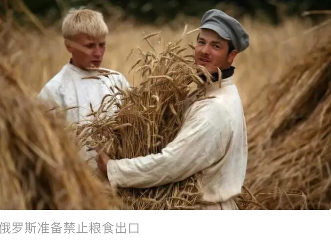 俄罗斯经济没被病毒击垮，率先陷入粮食危机？