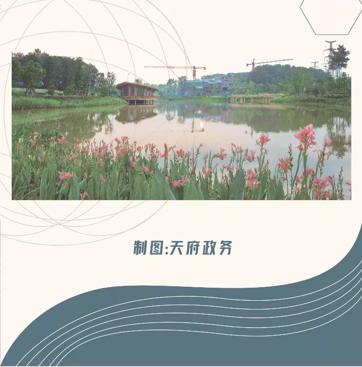 乡村振兴高质量发展十条政策