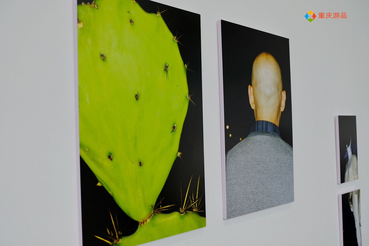 四川美术学院毕业作品展：预约入场一票难求，普通人都看不懂