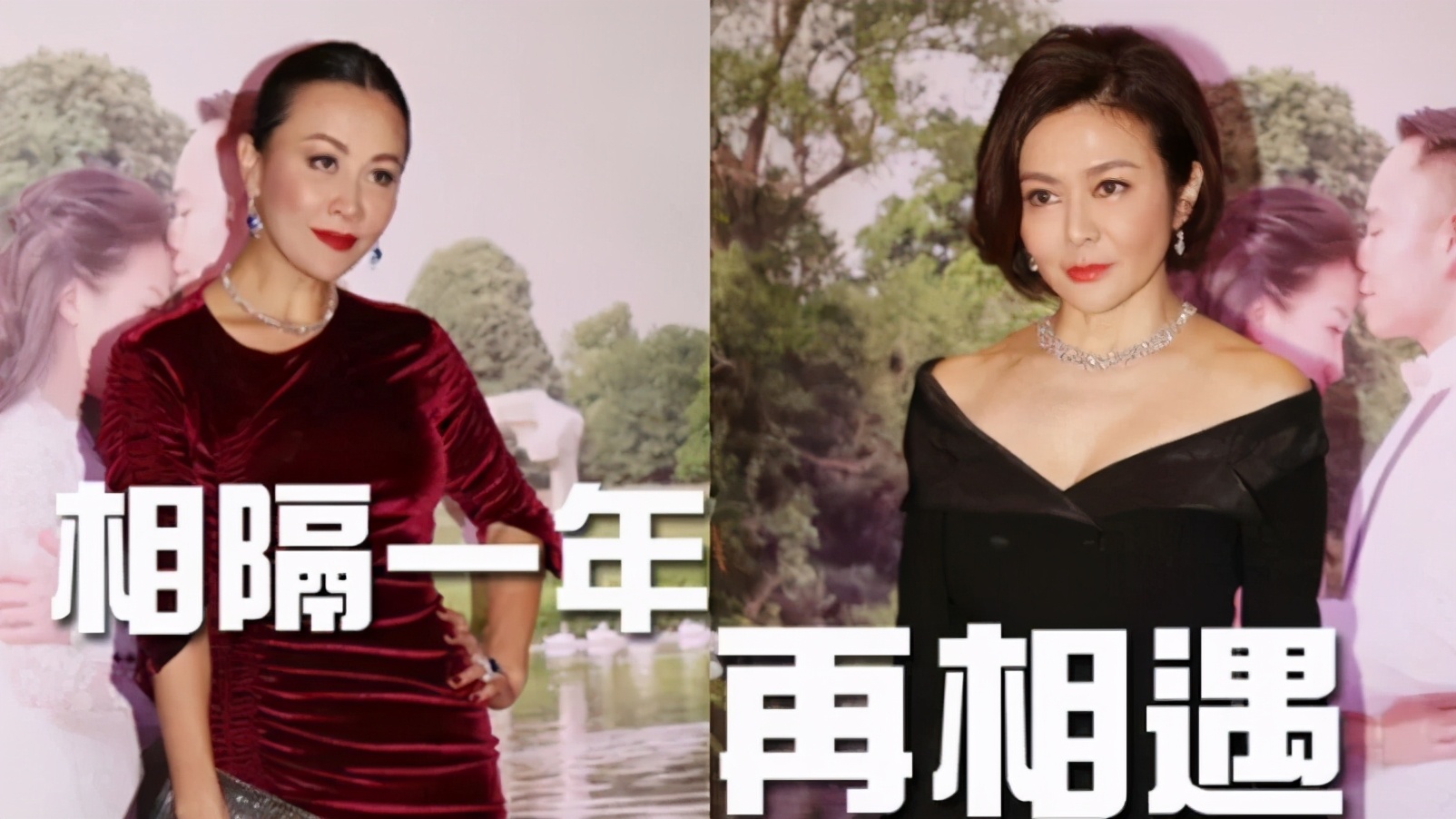 刘嘉玲关之琳同框了二人断交5年关系破冰如今亲密依偎情同姐妹