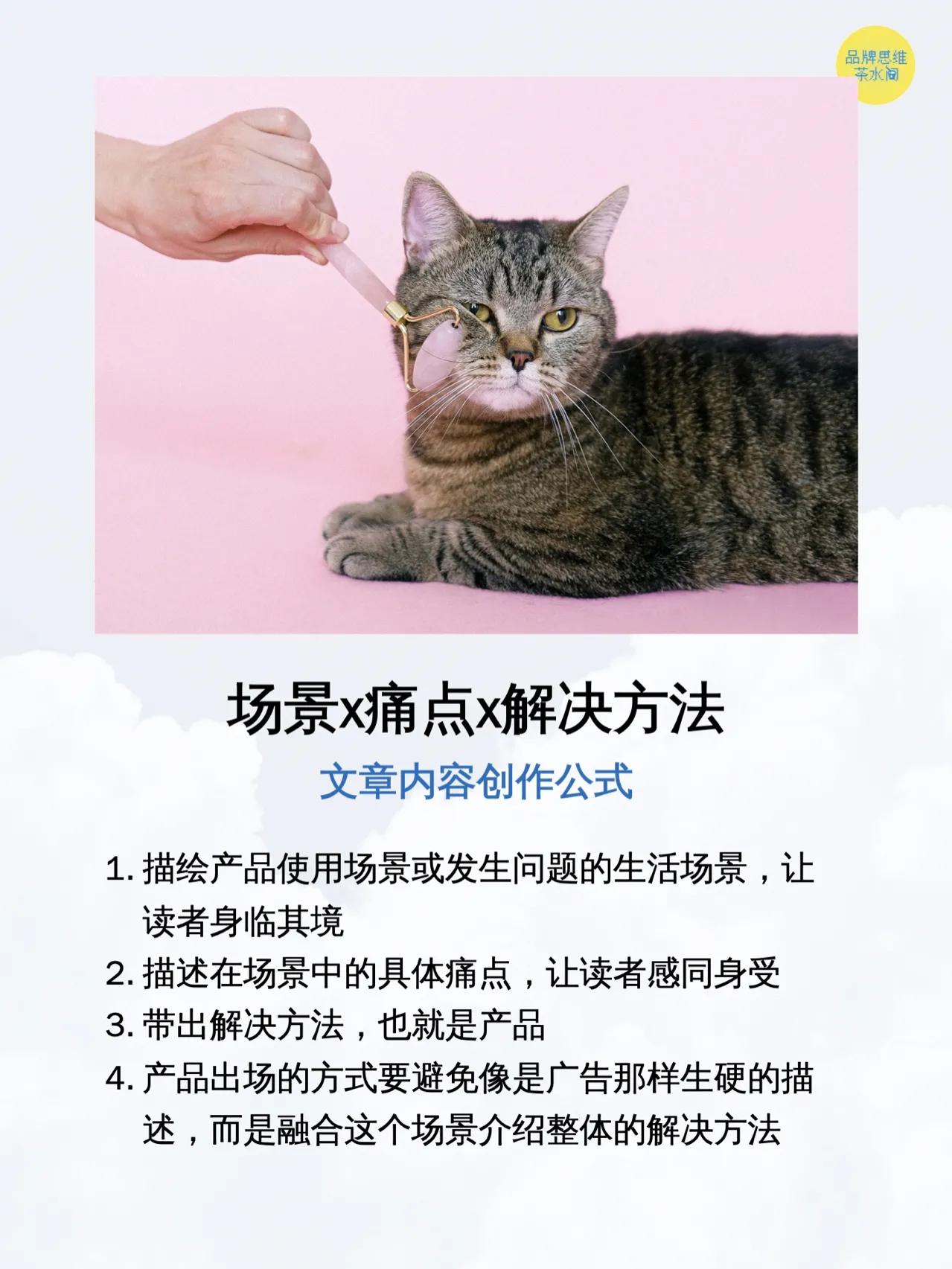 品牌策划 │如何进行竞品分析？