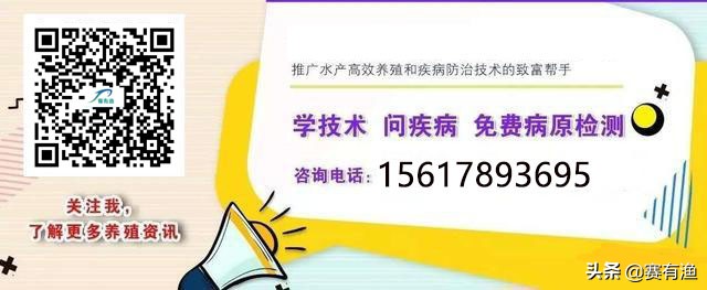 车轮虫是由什么引起的 消灭车轮虫病用什么药