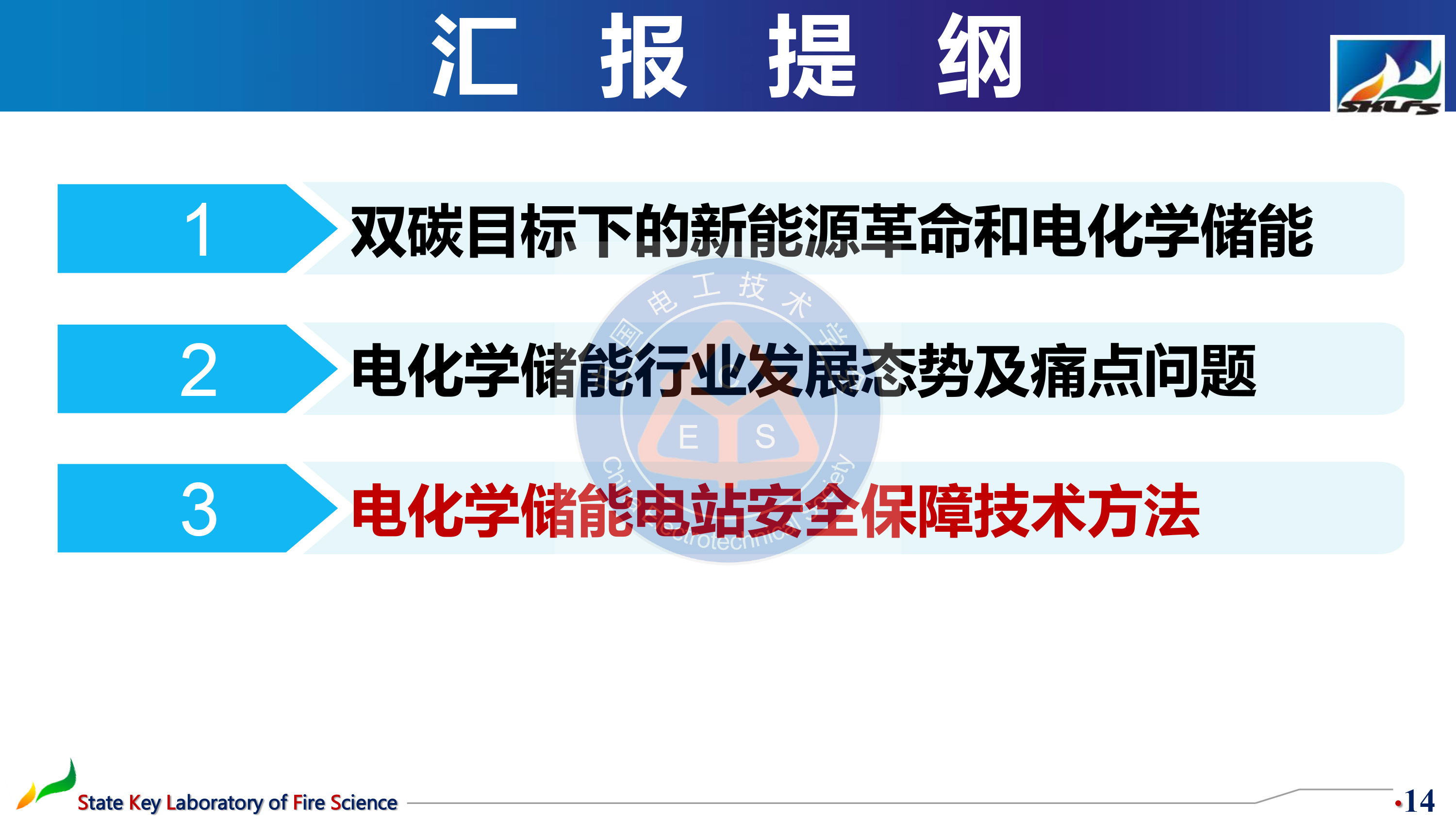 中国科学技术大学孙金华教授：电化学储能发展的痛点与解决途径