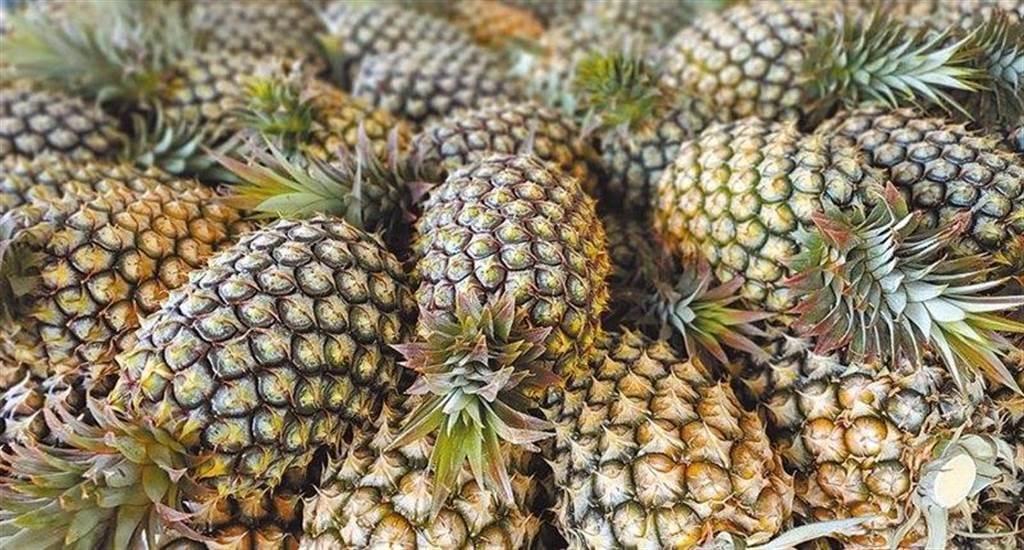 �新南向�5年數據曝光鄭照新：現在蔡當局準備要怪誰？