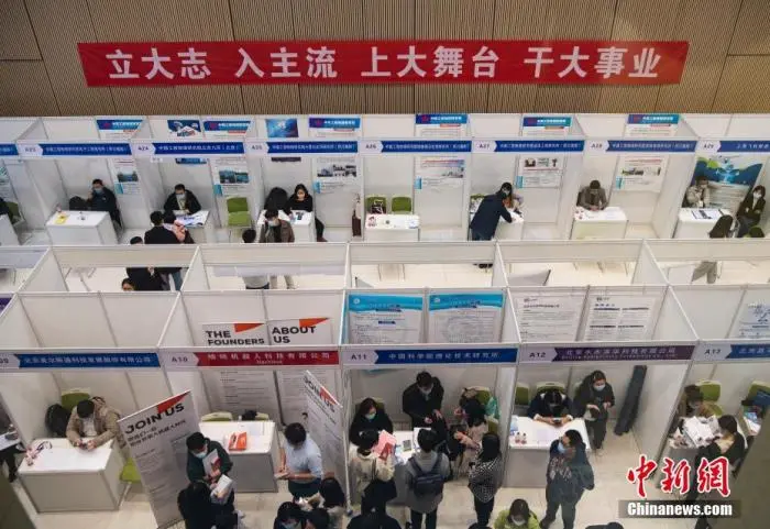 试用期、社保……毕业季,法律“小白”如何签合同?