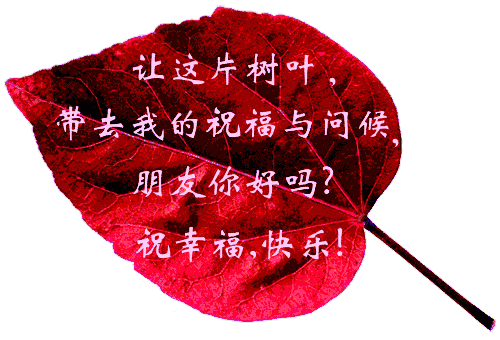 父亲节正能量最赞语录， 感人的父爱祝父亲节快乐图片图片