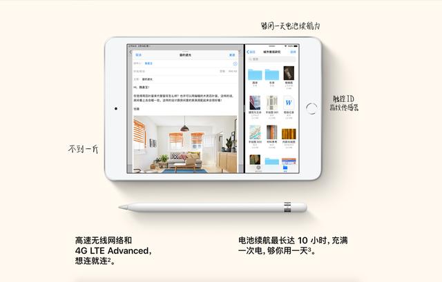 最新款iPad mini5蜂窝状版：7.9寸视网膜屏 A12仿生芯片 市场价3896元起