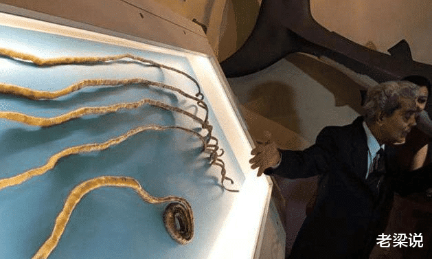 大爷留了44年的指甲，最终捐给了博物馆，指甲被