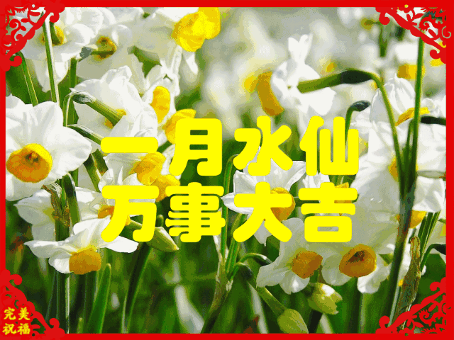 今日元宵节，祝福送上