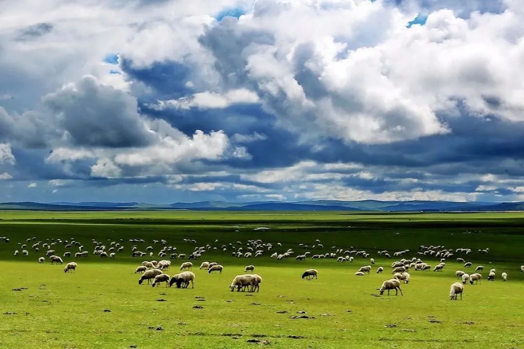 我们大内蒙，究竟“大”在哪里？