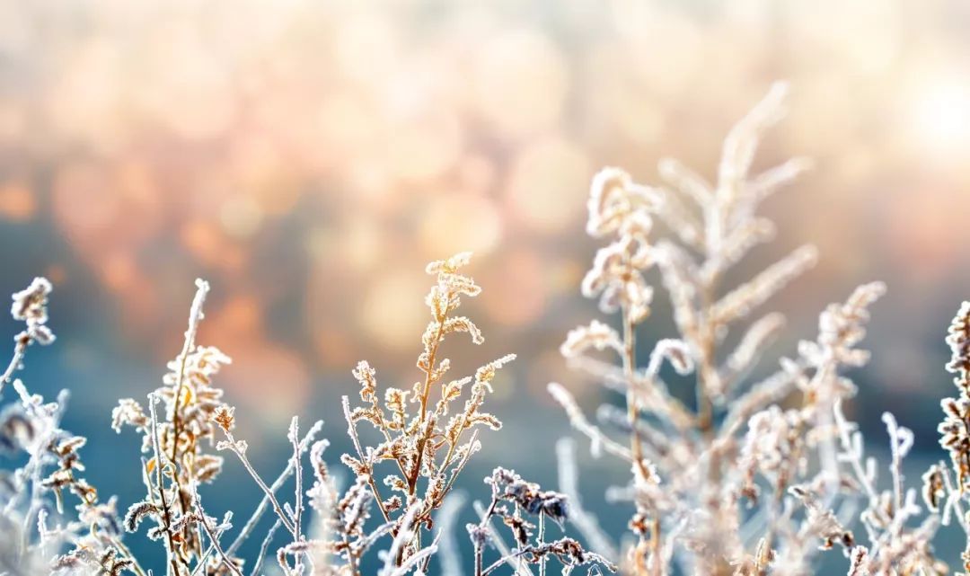 100句雪诗词，遇见最美冬天-第7张图片-诗句网
