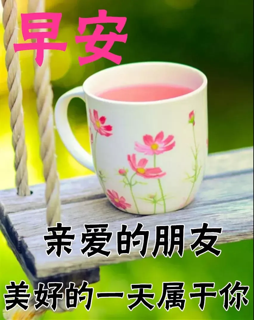 清晨问候早安的简短语句,新的一天早安祝福语精美语句图片