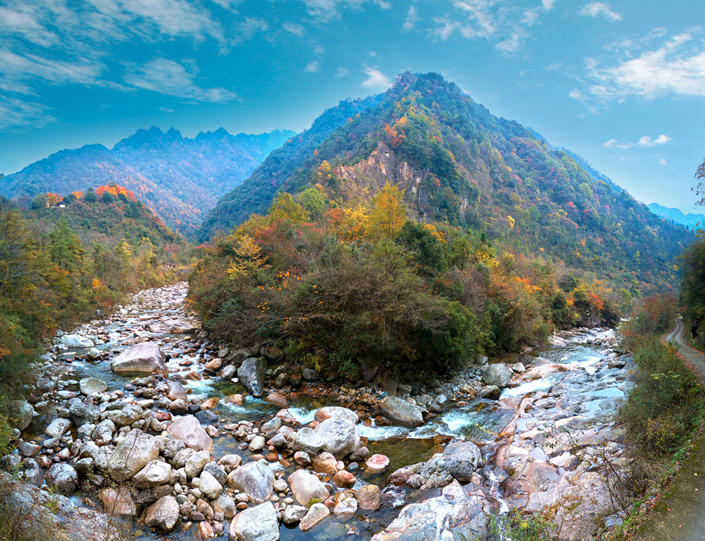 四川|媲美光雾山！平武这条沟，藏着一个惊艳的彩林秘境！