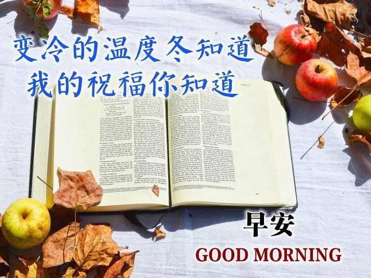 早安|2021高清早安问候祝福手机壁纸图片，祝您每天快乐