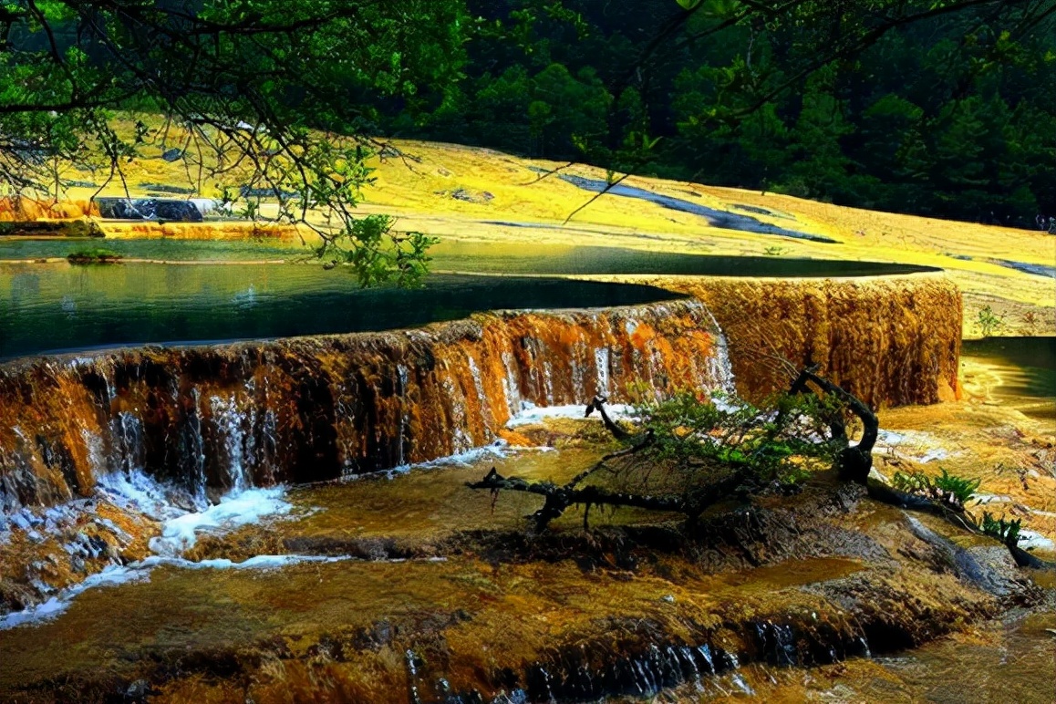 中国唯一保护完好的高原湿地，被誉为“世界奇观”，就在四川