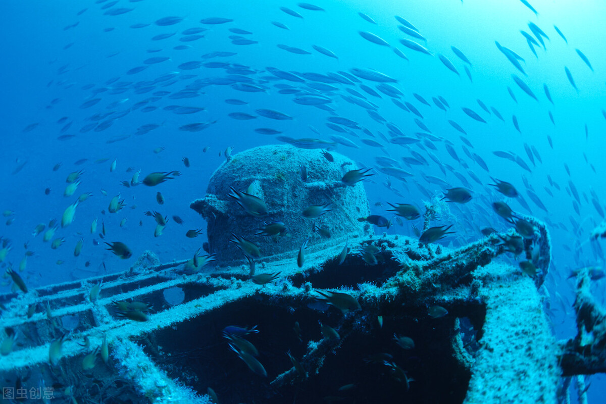 生命狂想：如果陸地上所有的生命都移居水下，世界將會變成什麽樣