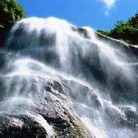 北大荒”为何要退耕还“荒”？真相是这样的，