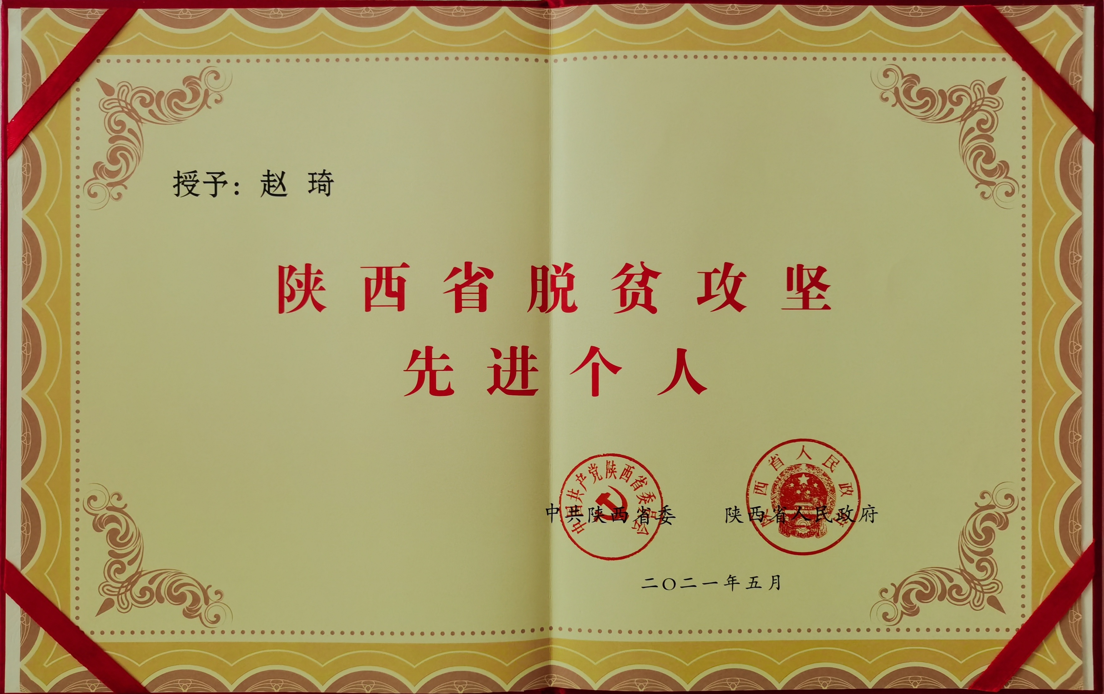 陕西省脱贫攻坚先进个人赵琦