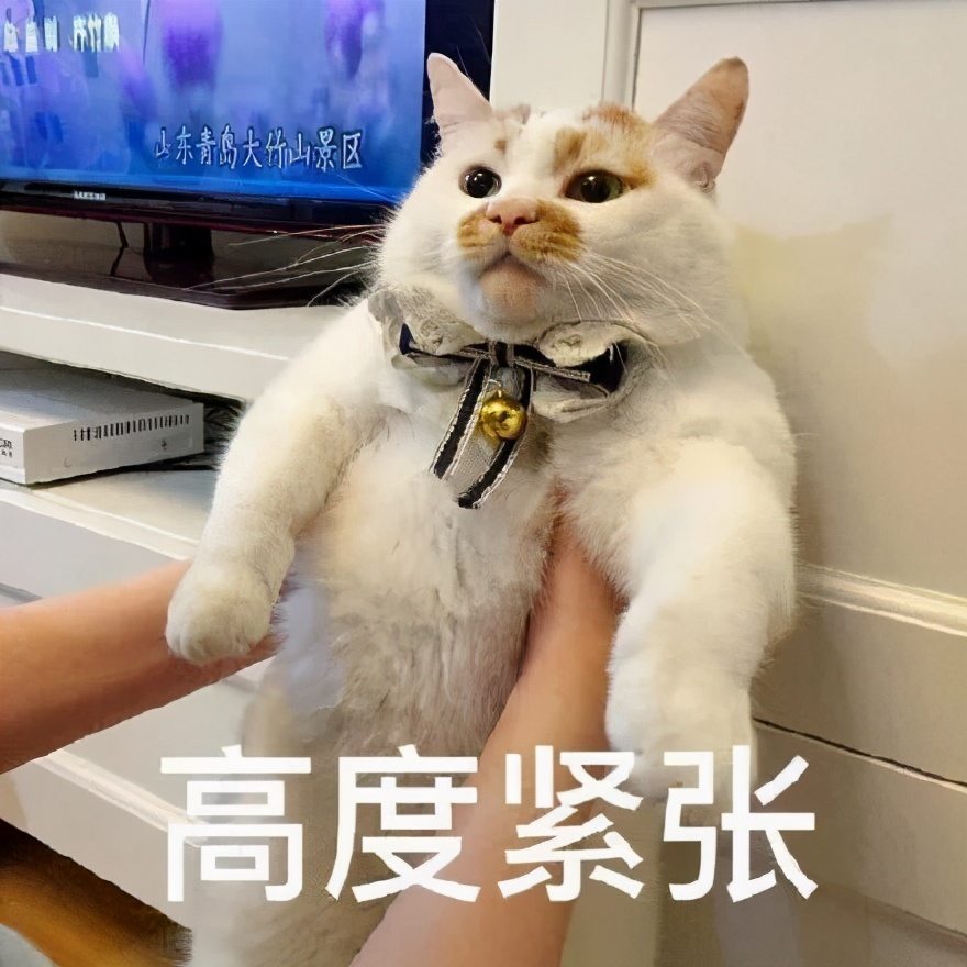 他心怀愧疚，借钱赔付了医药费，没想到…