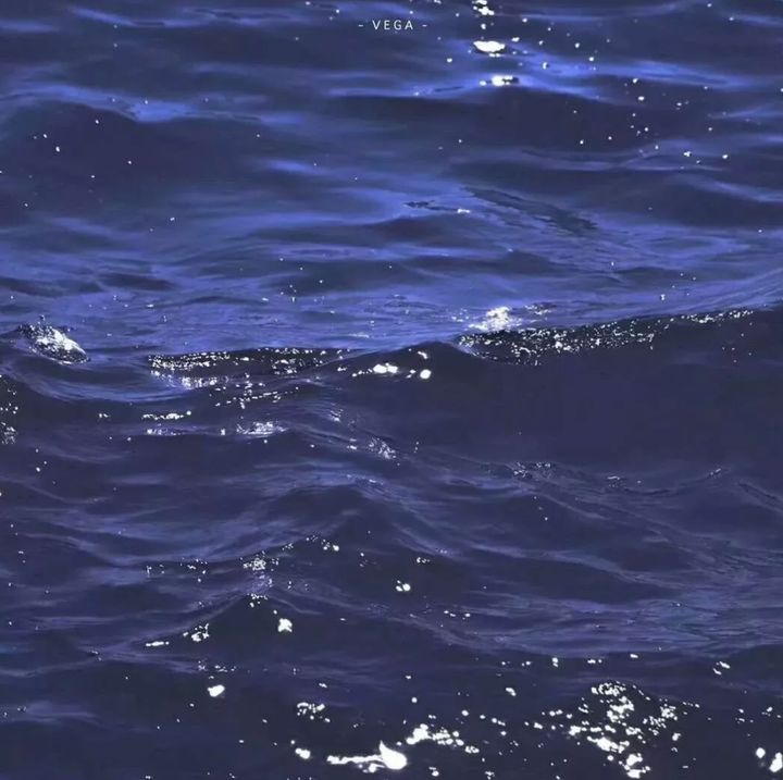 关于大海的浪漫句子 适合海边的朋友圈文案图片