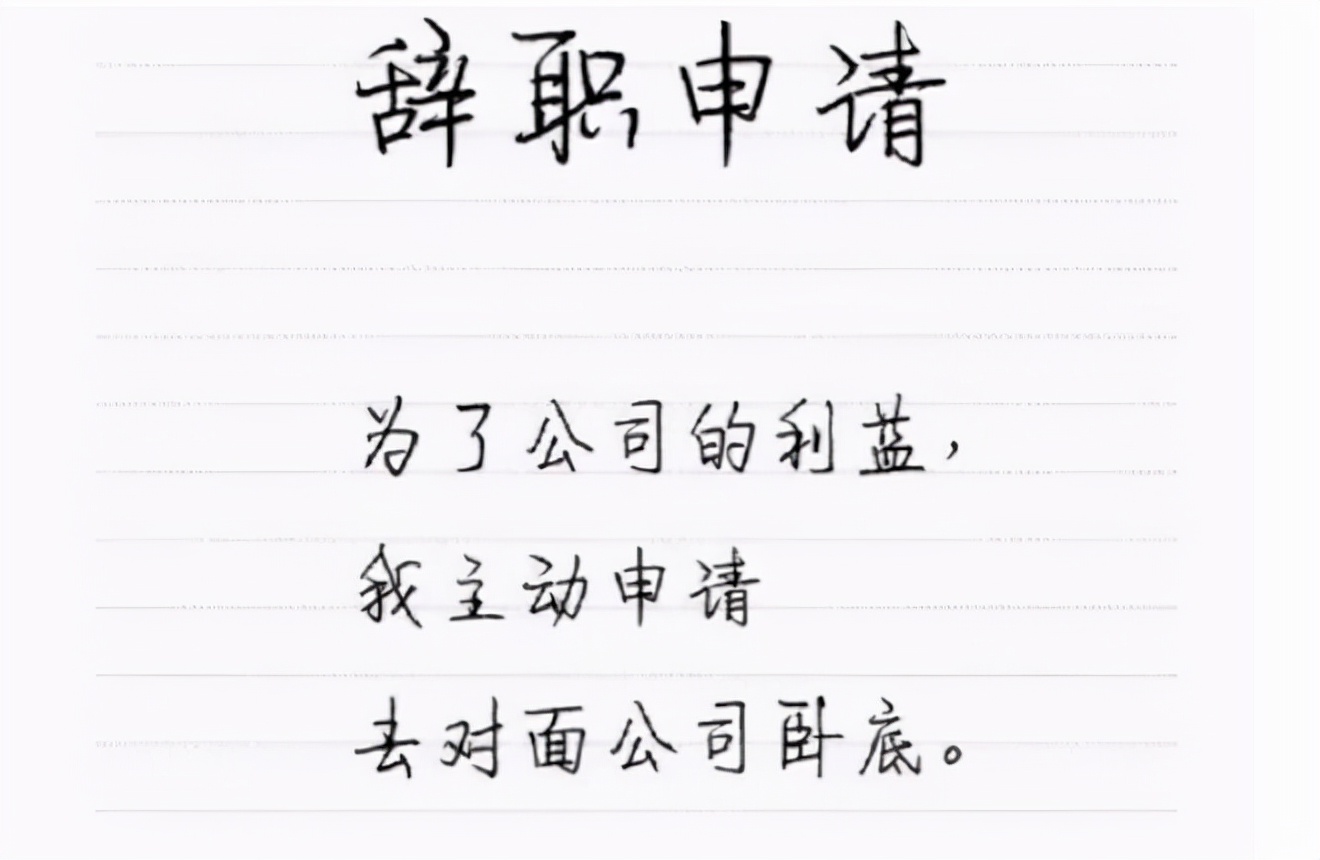 00后毕业生 辞职信 火了 理由简单粗暴 说出无数打工人的心声 Mp头条