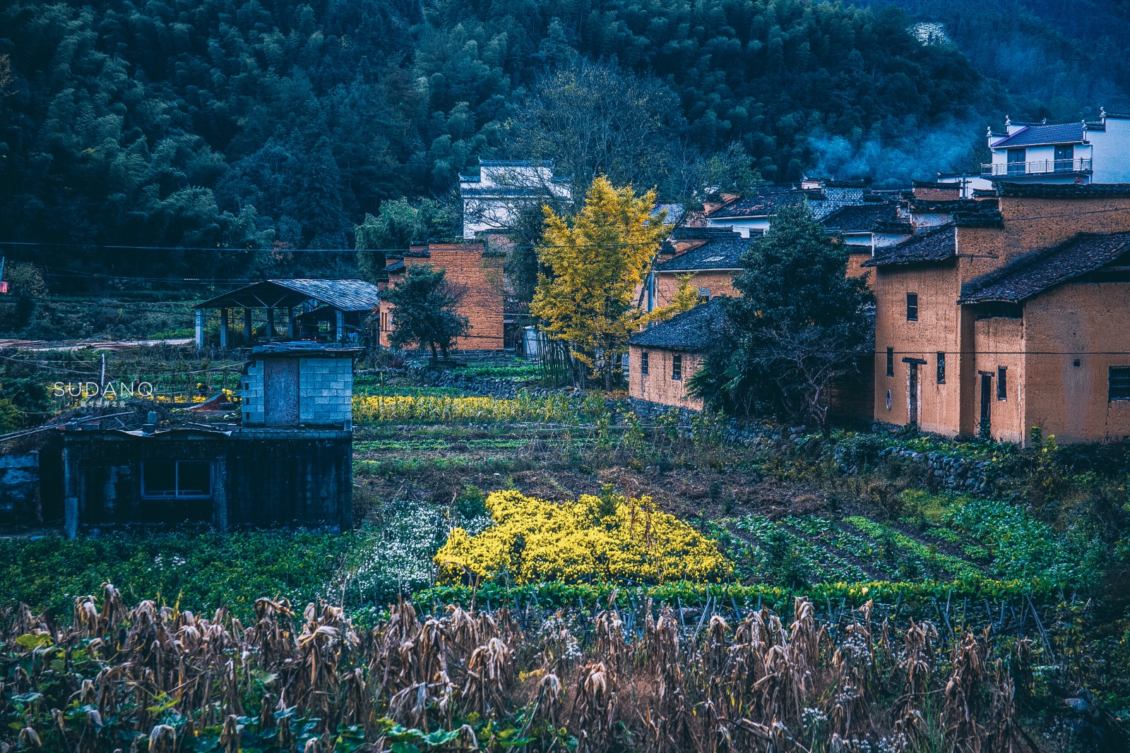 I've been obsessed with my life, I want to go to Huizhou: Recommend an ancient village that you have never heard of